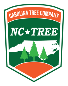 NC Tree Company